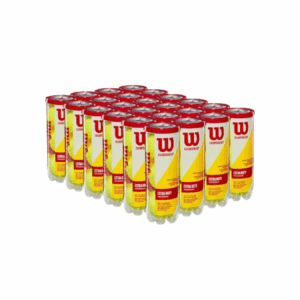 Pelota Wilson Championship Extra Duty 3 Ball Can