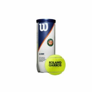 Pelota Wilson Roland-Garros Green Clay Court 3 Ball Can